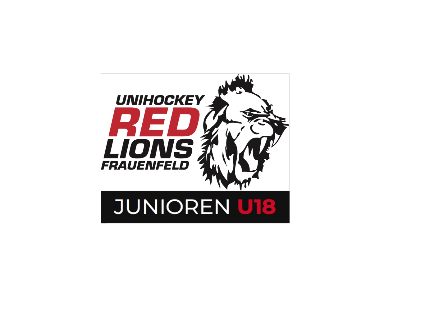 UH Red Lions Frauenfeld und Floorball Thurgau mit gemeinsamer U18 C Mannschaft 